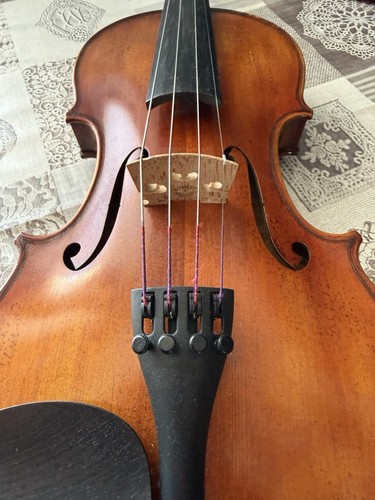 Violino professionale da - violino,