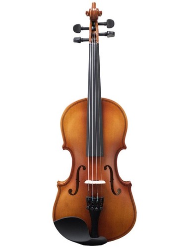 Violino studio con - violino,