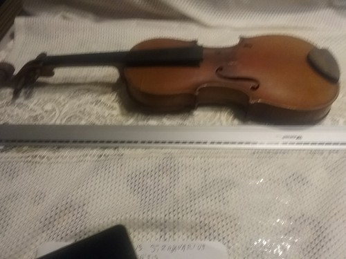 Violino 55cm 2 - ca., da