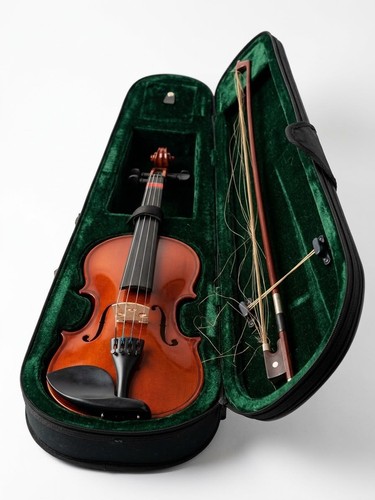 Violino acustico studio - violino,